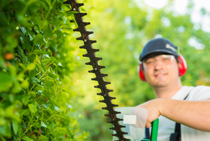 Man using hedge trimmer to trim hedges and trees