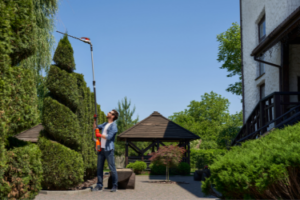 Man trimming hedges to improve curb appeal