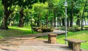 Green park scene with benches along the pathway