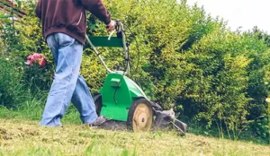 Man cutting the grass